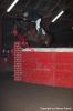 Bestandsnaam : IMG_0489.jpg
Bestandsgrootte : 63KB
Afmetingen : 533x800
Datum toegevoegd : 07 feb 2010 IMG_0489.jpg