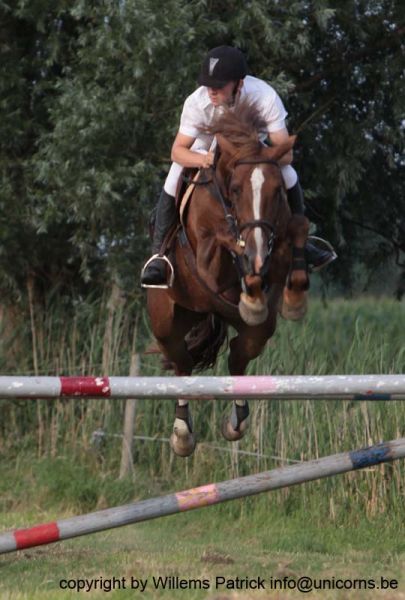 Klik op de foto om originele grootte te bekijken